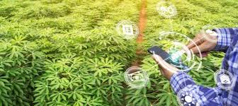 Innovations in Water-Powered Gadgets by 2027: Harnessing Nature for the Future of Technology