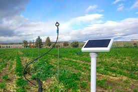 The Role of Tech in Smart Agriculture: Gadgets to Watch