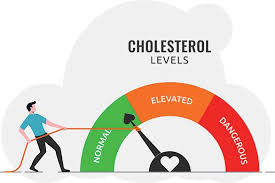 Tips for Maintaining Healthy Cholesterol Levels