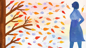 How to Build Emotional Resilience: A Comprehensive Guide